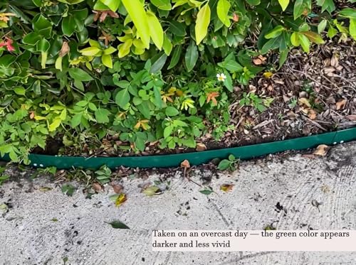 Anleolife 8-inch Green Steel Garden Edging - color: Green, style: 8 inch tall