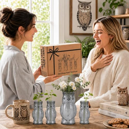 Nacome Owl Plant Propagation Station: Set of 4 Cute Grey Glass Vases - color: Gray