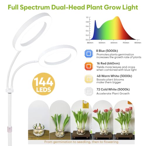 Grow Lights for Indoor Plants Full Spectrum, 2-Head LED Plant Light, White - size: White-23inch
