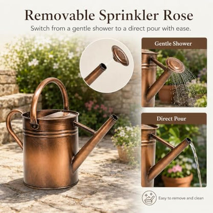1 Gallon Metal Watering Can for Indoor Outdoor Plants, Retro Coppery - color: Retro Coppery