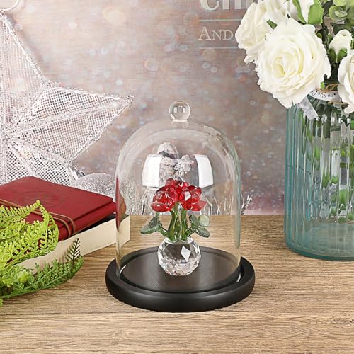 JUXYES 4.5x6 Clear Glass Display Dome Cloche with Handle & Black Wood Base - color: Black