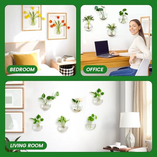 DomeStar Set of 4 Wall Vases, Wall Mounted Propagation Station - size: 4pcs
