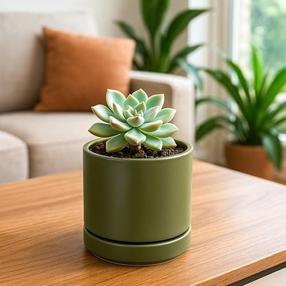 D'vine Dev 4-Pack Ceramic Pots with Saucers, Olive, 4.7 in, 94-X-B-0 - color: Olive, size: 4.7 Inch