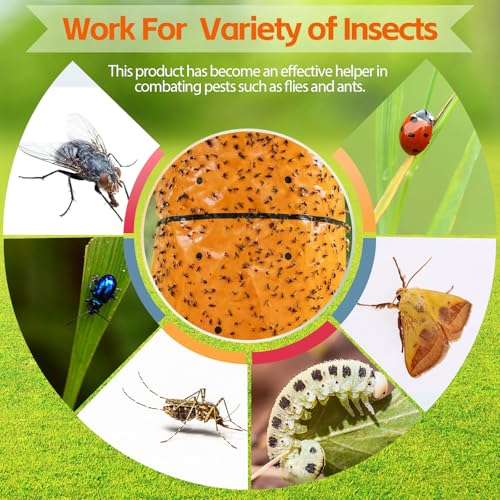 12 Rolls Spotted Lantern Fly Tree Trap 30 Feet Each Roll Lanternfly Tree Outdoor Fruit Fly Sticky Strips Paper Insect Sticky Barrier Trunk Wraps to Protect Plant, Lawn, Garden(Orange) - color: Orange