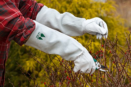 Leather Gardening Gloves by Fir Tree. Premium Goatskin Gloves With Cowhide Suede Gauntlet Sleeves. Perfect Rose Garden Gloves. XL - Men's and Women's Sizes. (See Size Chart Photo) - size: X-Large (Pack of 1)