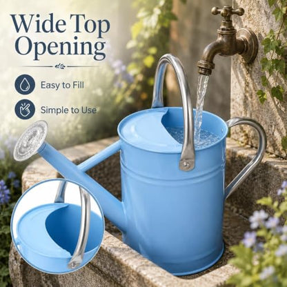 1 Gallon Metal Watering Can for Indoor Outdoor Plants, Blue - color: Blue