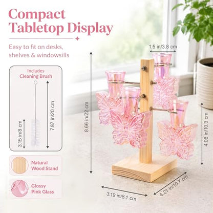 Nacome Plant Terrarium Propagation Stations: Pink Vase with Wooden Stand - color: Pink
