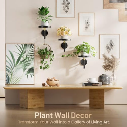 YUOROS 3 Pack Wall Plant Holder Wall Planters for Indoor Plants (Black) - color: Black