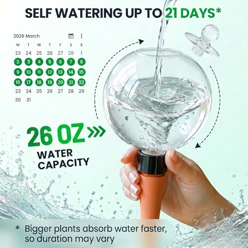 2 Pack 26 oz Extra Large Plant Self Watering Globes to 3 Weeks Watering - size: 2 pack