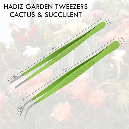 HADIZ Stainless steel Garden Tweezers Two Piece Set For Catus and Succulents 8 Inch Size (Straight & curved)