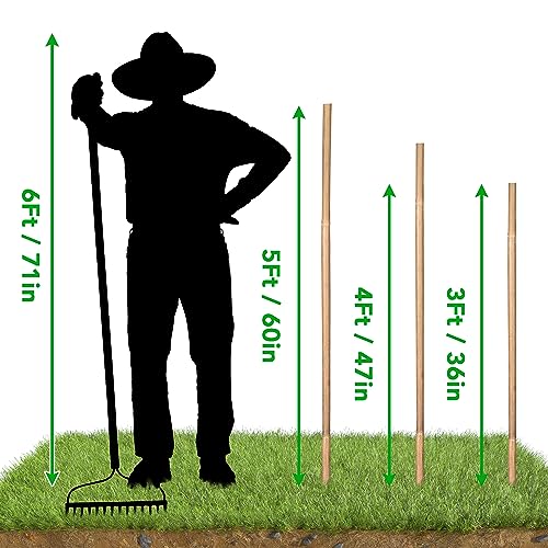 SWANGSA 55 Pack Bamboo Stakes for Plant 3 Feet, Bamboo Sticks for Garden Plant Support Stakes Poles for Tomatoes, Beans, Flowers, Potted Plants, Indoor and Outdoor Climbing Plants - size: 3 Feet - 55 Pack