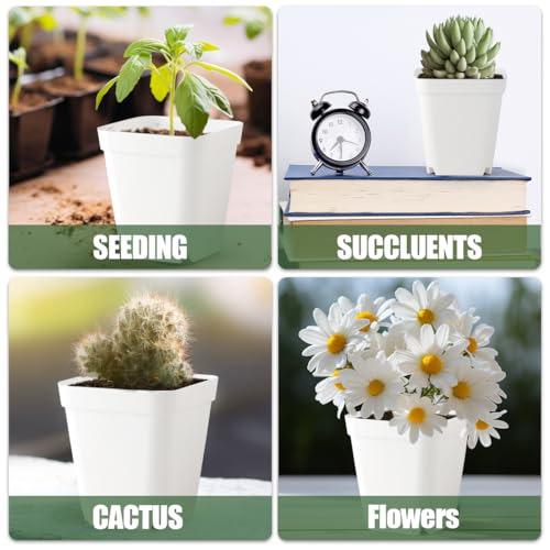 120 Pcs Nursery Pots 3.5 Inch, Plastic Seed Starting Pot with Drainage Holes, Small Sturdy Seedling pots for Planting, Cuttings (White) - color: White, size: 3.5 Inch-120P