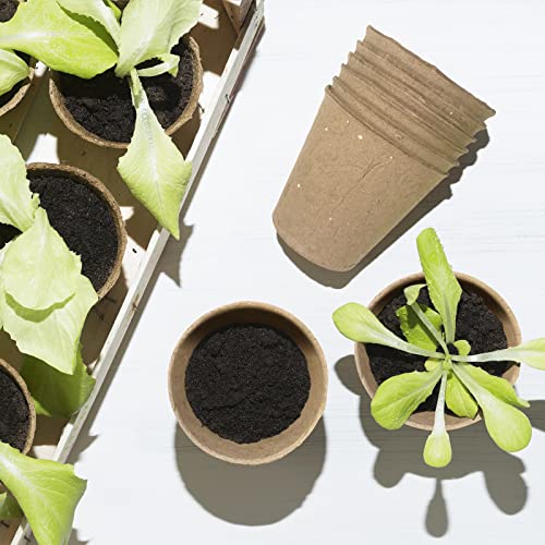 100 Pack 3.15 In Mini Flower Pots Disposable Plant Pots with Labels,Tools