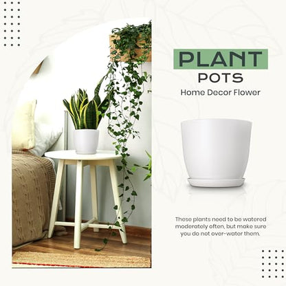 Plant Pots Indoor with Drainage, 10 Pack Multi-Size Planters Set, Grey - color: Gray, size: Pack of 10