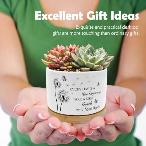 Butterfly Dandelion Inspirational Planter Pots, Every Day New Beginning Ceramic Succulent Plant Flower Planters(No Plants) - color: Style 05