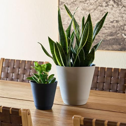 14" Beige Self-Watering Planter, Resin Pot w/Reservoir for Houseplants