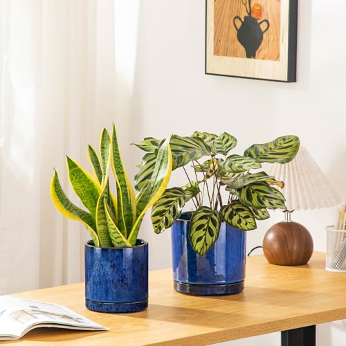 vancasso Ceramic Plant Pots, 3 Piece Planters for Indoor Plants, Blue - color: Blue