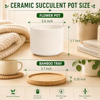 ZOUTOG 8 Pack 3.6" Ceramic Succulent Pots,White Planter with Drainage Tray - size: 8 pack
