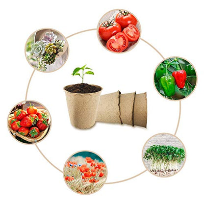 Biodegradable Peat Pots Set (10-Piece) - size: 1 Pack