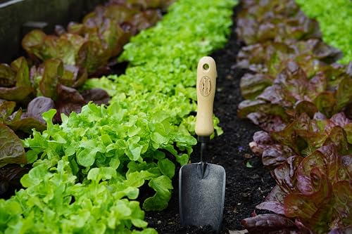 Tierra Garden DeWit Forged Hand Trowel, Garden Tool for Roots and Planting, Standard (31-3000) - size: Standard, style: Short Handle