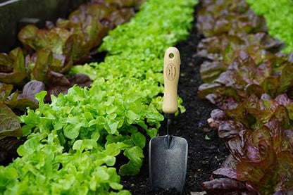 Tierra Garden DeWit Forged Hand Trowel, Garden Tool for Roots and Planting, Standard (31-3000) - size: Standard, style: Short Handle