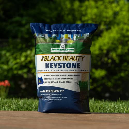 Jonathan Green Black Beauty Keystone PA Grass Seed - 25 lb - size: 25 lb