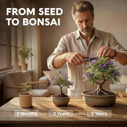 Bonsai Tree Kit Classic - Growing 5 Unique Japanese Bonzai Trees - size: Large 14"