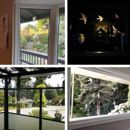 Anti-Collision Window Bird Stickers Decals Glass Door Protect and Save Bird Strikes (Clear) - color: Clear