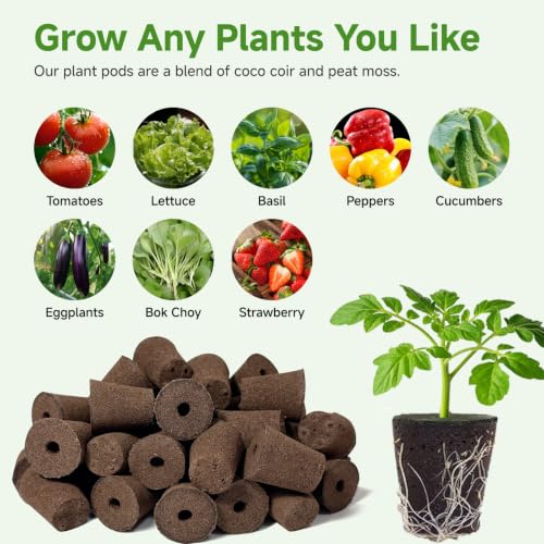 50 Pack Grow Sponges for Hydroponics - Replacement Pods