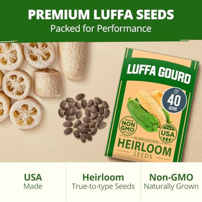 HOME GROWN Luffa Loofah Gourd Seeds, 40 Seeds, Luffa aegyptiaca
