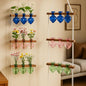 Leinuosen Hanging Plant Propagation Station, Propagation Vases, Multicolor - color: Multicolor