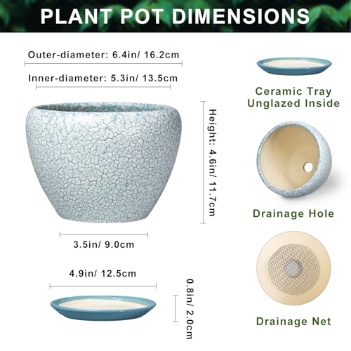 Ceramic Plant Pot, 6 Inch Indoor Planters, Crackle Blue - color: Crackle Blue, size: 6 Inch