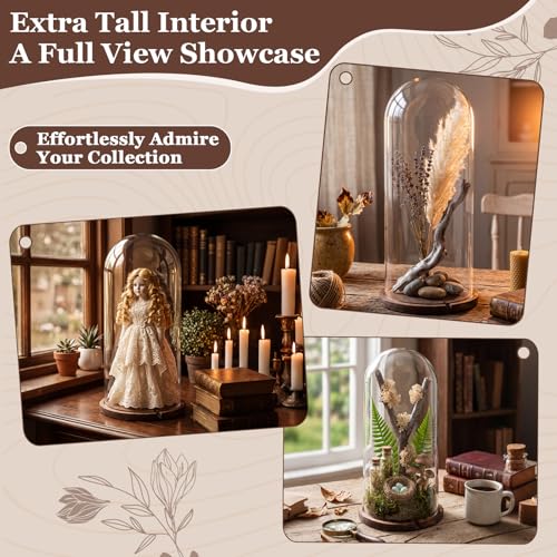 22'' × 8.66'' Glass Dome Cloche Display with Wood Base, Clear Display Jar - size: 8.66''×22''