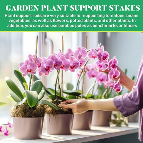 Suclain 100 Pcs Bamboo Plant Stakes Natural Garden Support Sticks,2 ft - size: 2 ft