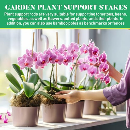 Suclain 100 Pcs Bamboo Plant Stakes Natural Garden Support Sticks,2 ft - size: 2 ft