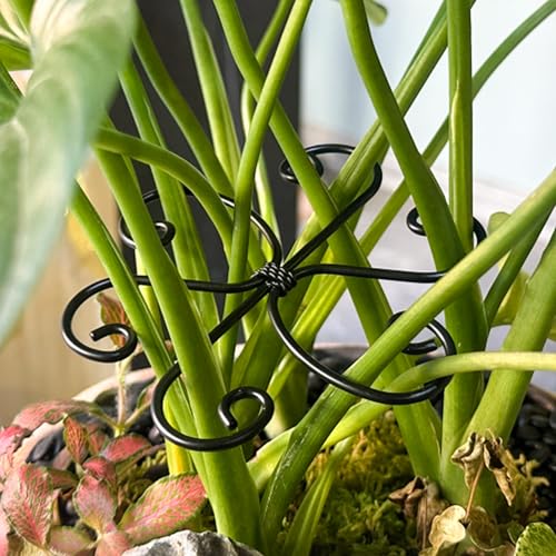 4PCS Metal Plant Stakes for Indoor Plants, 4.3 * 4.1 in Stackable Monstera Stem Support Hook for Growth, Stabilizer for Leaves & Adjustable Clamp Set Accessories for Climbing Plants (Ring) - style: B 4.3 * 4.1 in