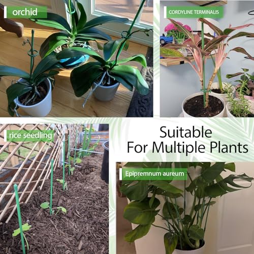 Plant Stakes,MAFONE 10Pcs 15Inch Adjustable Length Plant Support Stakes
