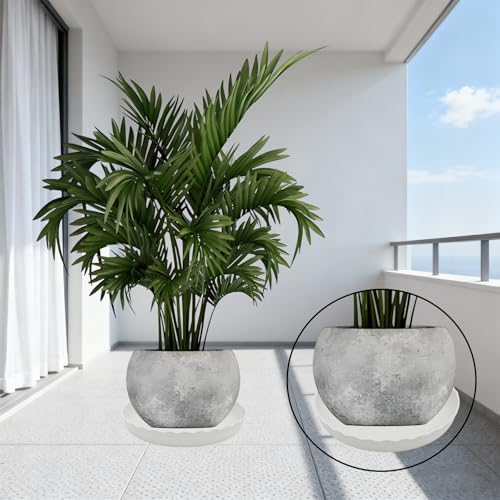 8 Pack Wave Plant Saucer 4/5/6/8 inch, White Plastic Tray for Pots - color: White, size: 4",5",6",8"