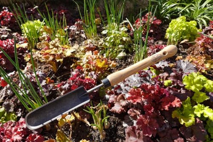 Dewit Rock-N-Root Trowel – Mid-Size Handle Heavy-Duty Garden Hand Tool with Hardened Boron Steel Blade & Ash Hardwood Handle