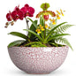 Bowl Planter 10 Inch, Ceramic Bonsai Tree Pots, Texture Red - color: Texture Red-1, size: 10 Inch