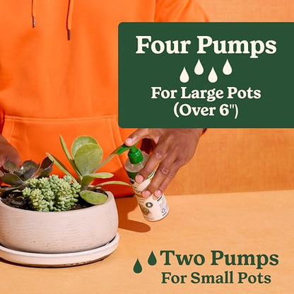 Miracle-Gro Indoor Plant Food for Cactus & Succulent, 8 fl. oz. (2-Pack) - style: Cactus & Succulent
