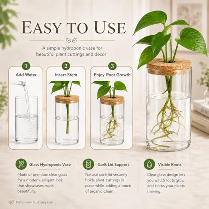 HOMSFOU Plant Propagation Stations, Glass Hydroponic Vase with Cork Lid