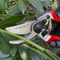 Darlac Expert Bypass Pruners, Ergonomic Hand Pruners with SK5 Carbon Steel Blade, 1-Inch Cutting Capacity, Lightweight Precision Garden Tool