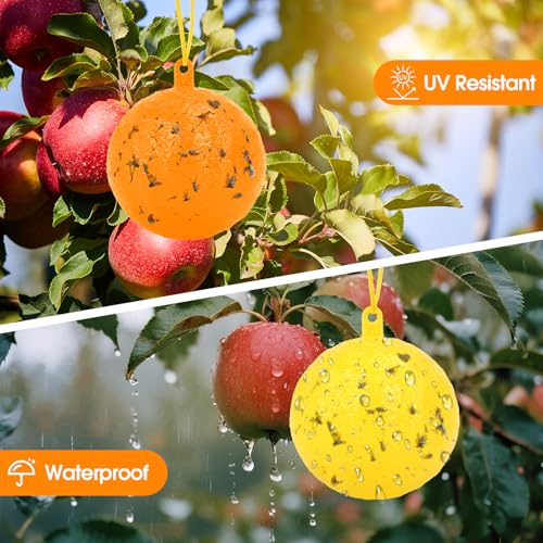 Fruit Fly Traps for Indoors, 12pcs Fly Ball Hanging Yellow Sticky Bug Ball - color: Orange