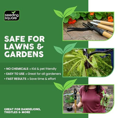 Stand-Up Weed Puller Tool with Long Handle for Dandelions and Garden Weeds.