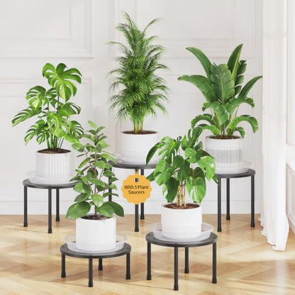 LASZOLA 5Pcs Metal Short Plant Stand Indoor Outdoor with Saucers, Small - color: Black with Saucers
