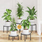 LASZOLA 5Pcs Metal Short Plant Stand Indoor Outdoor with Saucers, Small - color: Black with Saucers