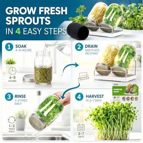 Premium Sprouting Jar Kit 2-Wide Mouth Mason Jars with Mesh Sprout Lids - color: Green