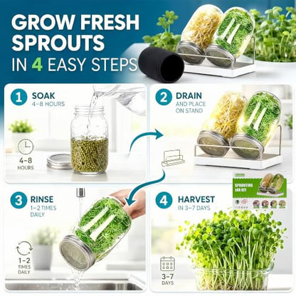 Premium Sprouting Jar Kit 2-Wide Mouth Mason Jars with Mesh Sprout Lids - color: Green