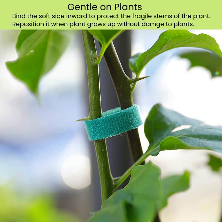Plant Ties Hook and Loop Garden Tapes 1/2'' Wide Fabric Fastening Tape Double Sided Self Gripping Strap Reusable Adjustable Cable Ties Garden Vines Ties, Soft Plant Tie (1/2 Inch x 32 ft, Green) - size: 1/2 Inch x 32 Feet